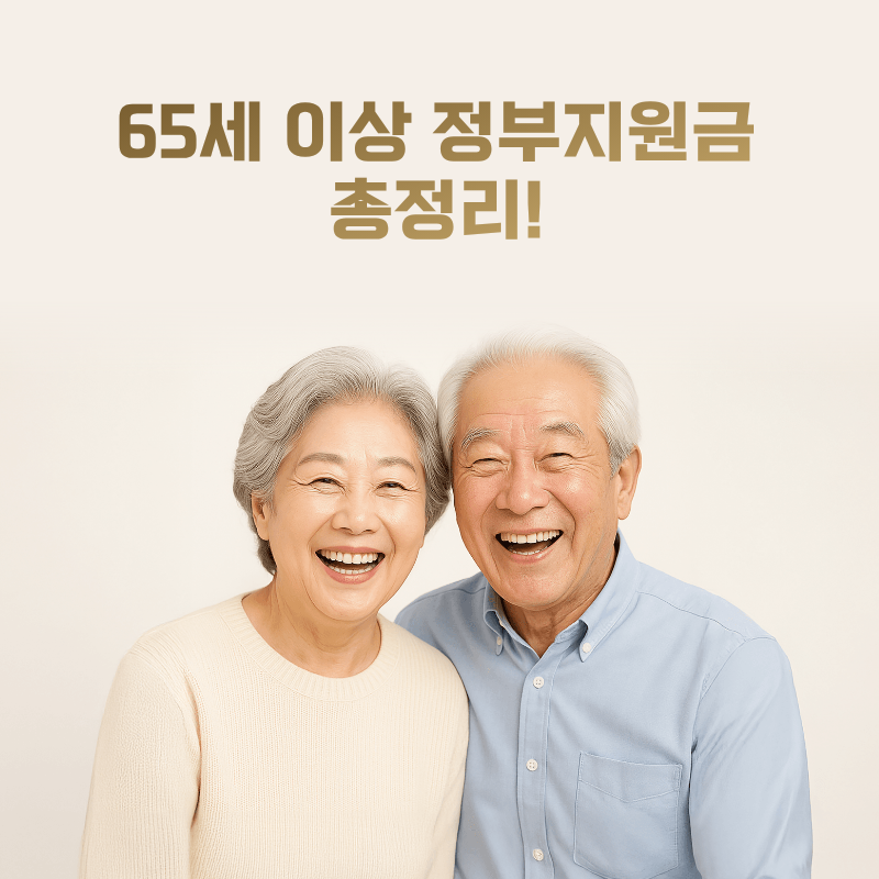 65세 이상 정부지원금