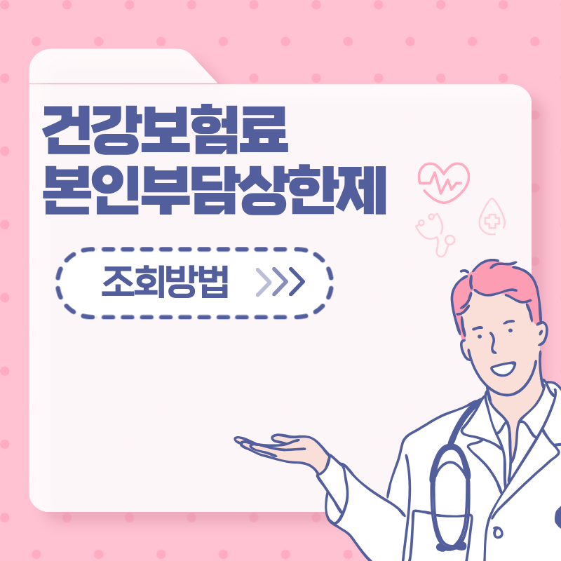 건강보험료 본인부담상한제