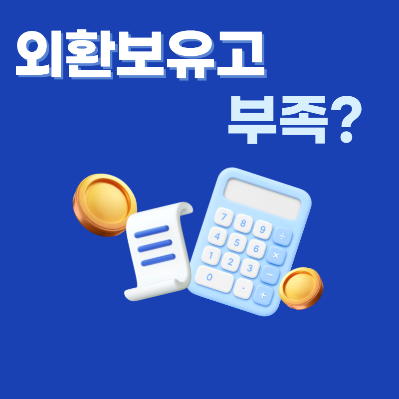 외환보유고 부족