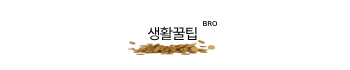 생활꿀팁 브로